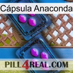 Cápsula Anaconda 03